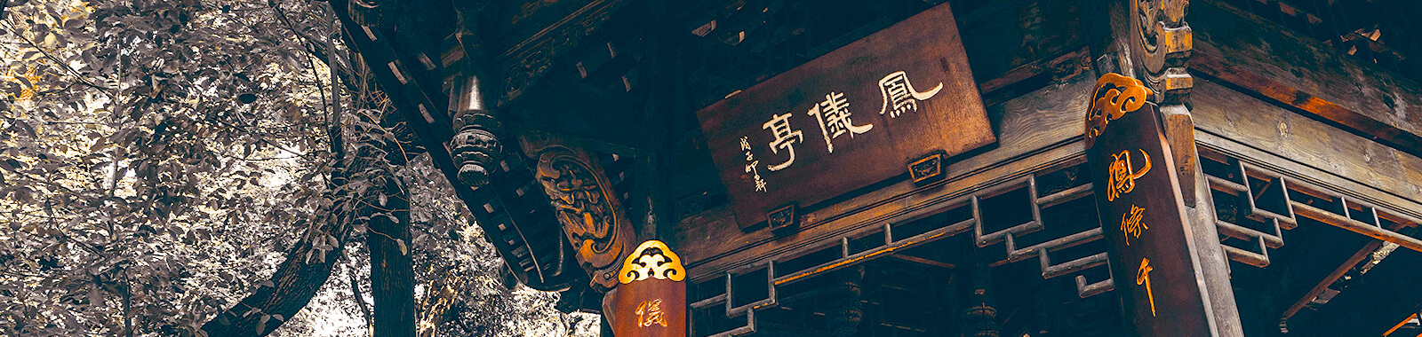 文化景观
