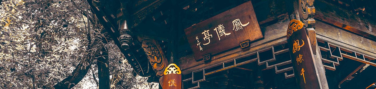 文化景观